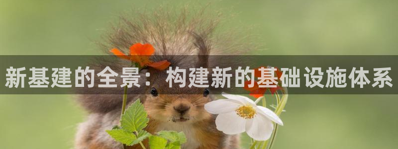 温州富邦娱乐